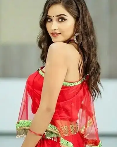 Call Girls Service Ambasamudram
